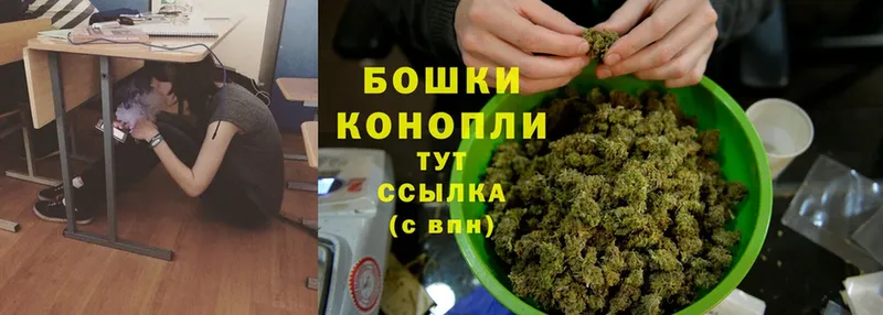 Конопля SATIVA & INDICA  блэк спрут вход  Сосновоборск 